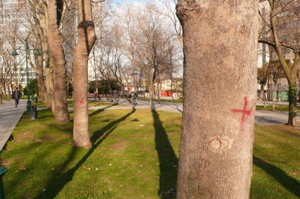 agac-gezi-parki