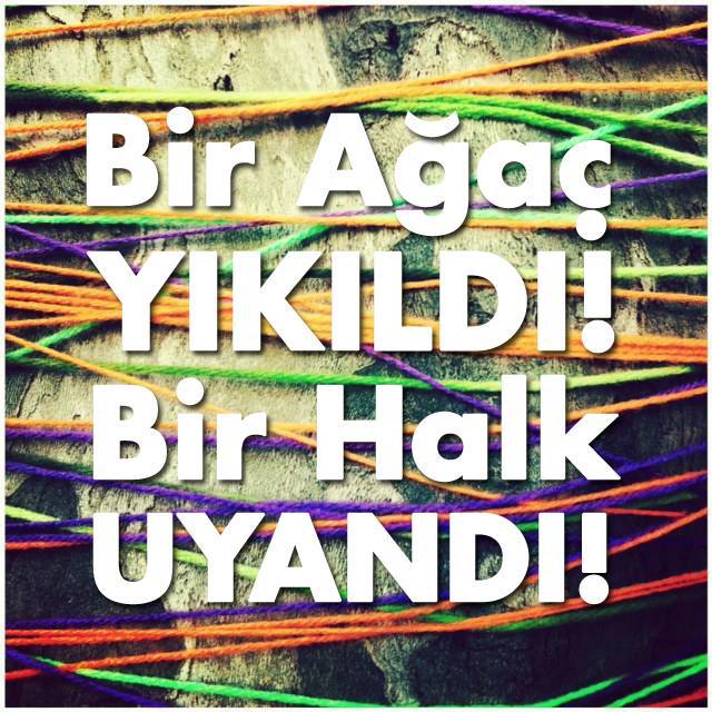 bir ağaç yıkıldı bir halk uyandı