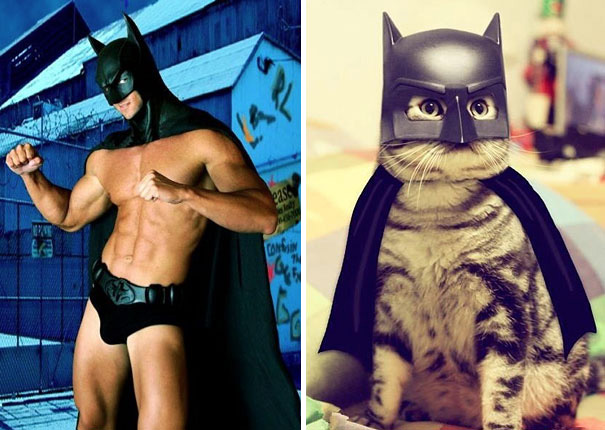ciplak-batman-kedi