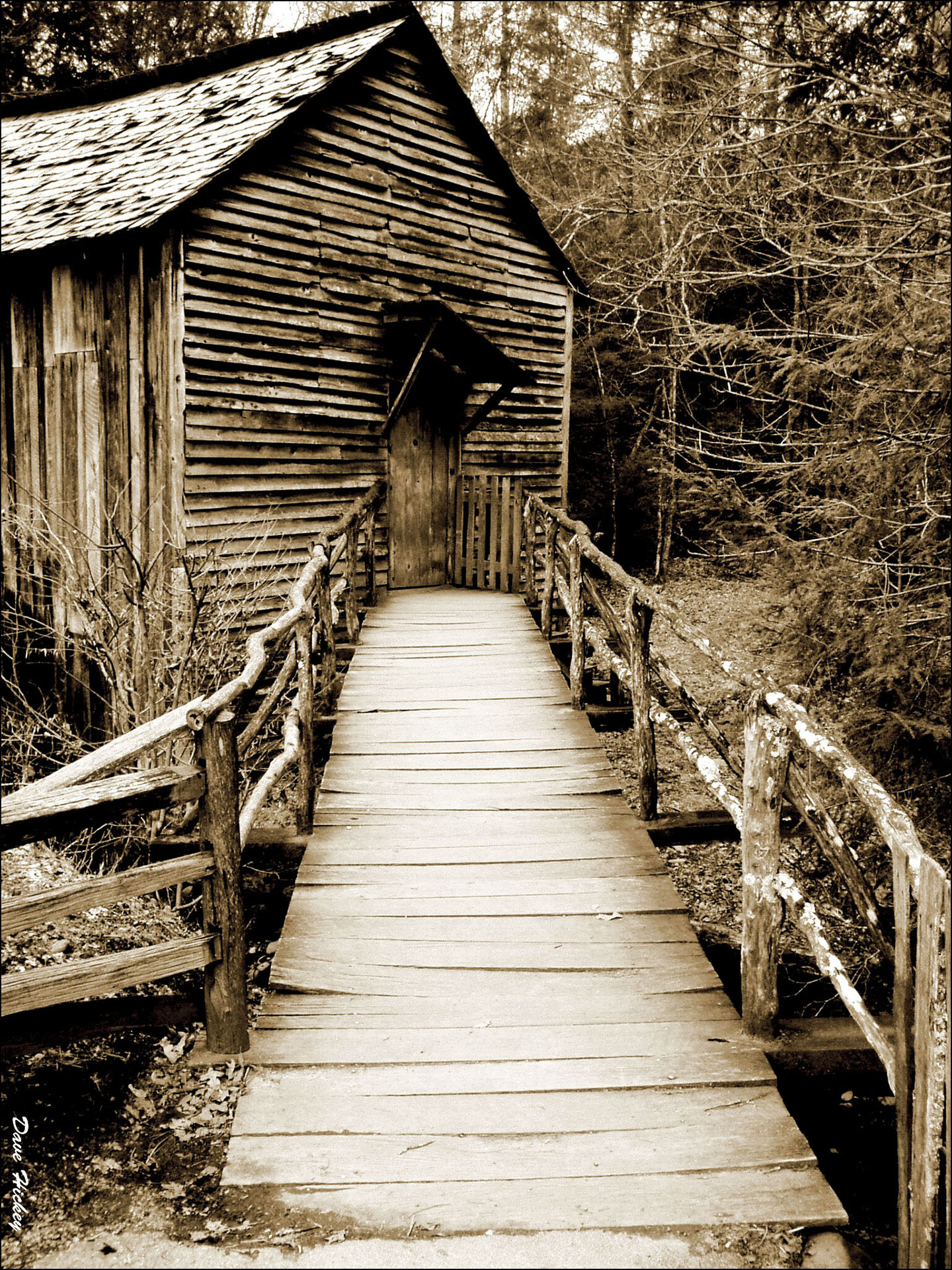 The Old Mill_Sepia
