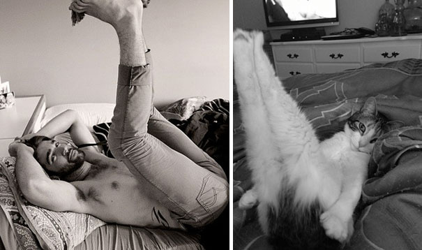 seksi-manken-kedi