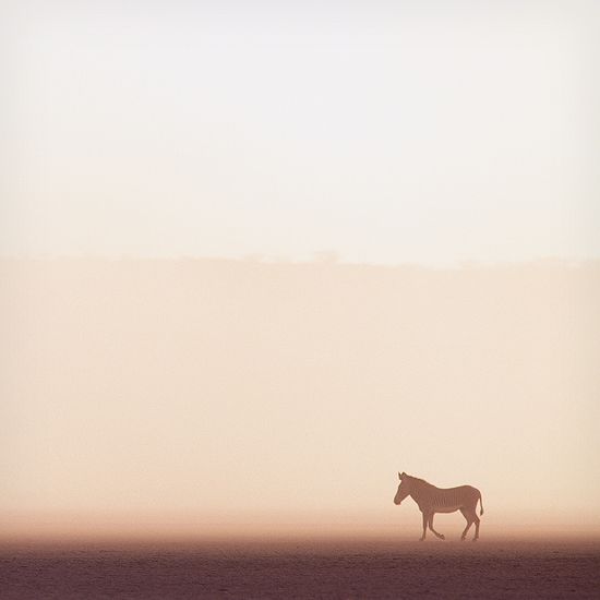 at-fotografi-minimalist