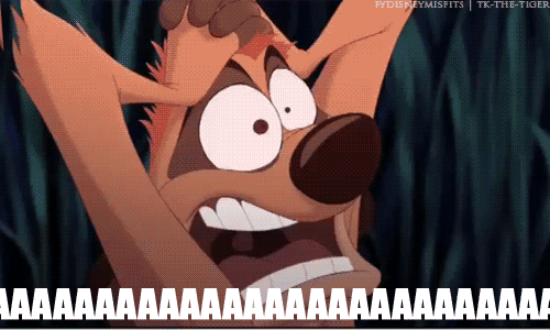 haaaaaaayir-aslan-kral