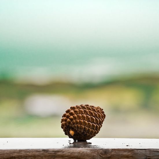 kozalak-fotografi-minimalist