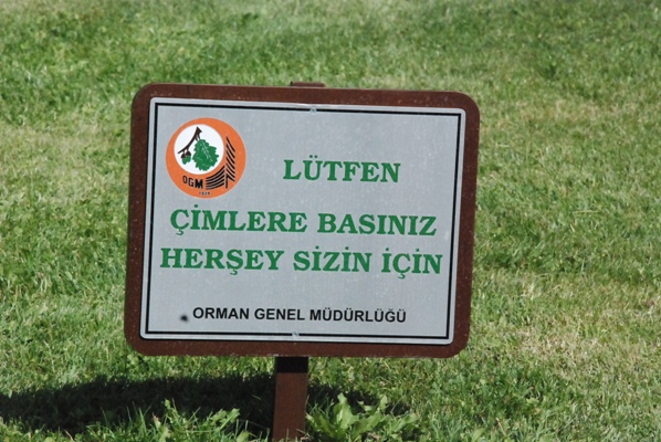 lutfen-cimlere-basiniz-her-sey-sizin-icin