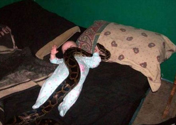 parenting-fails-cocugun-ustunde-piton-var