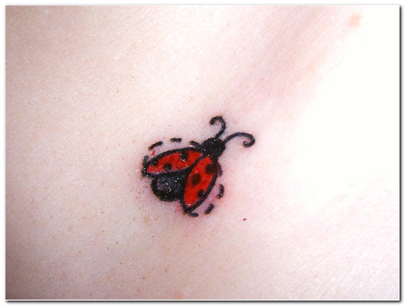 Cute-Ladybug-Tattoo-Designs