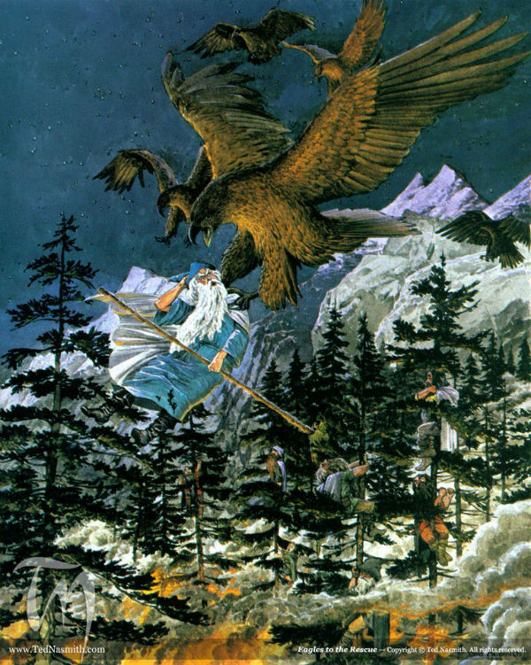 TN-Eagles-to-the-Rescue