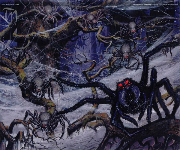 TN-The-Spiders-of-Mirkwood