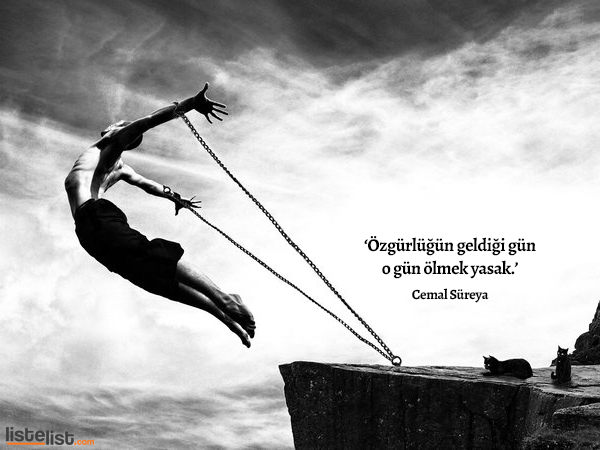 cemal-sureya-11