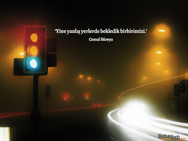 cemal-sureya-6