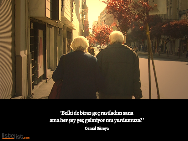 cemal-sureya-9