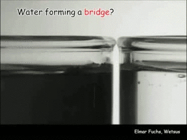 reaction-gifs-water-bridge