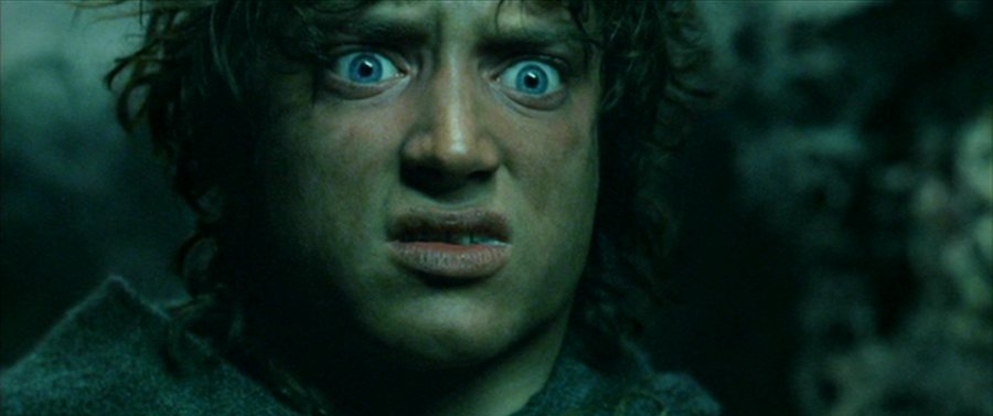 frodo-zehir