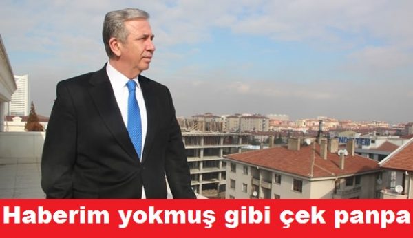 secim (12)