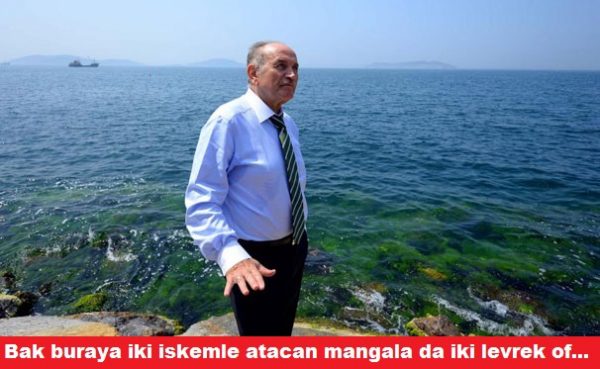 secim (3)