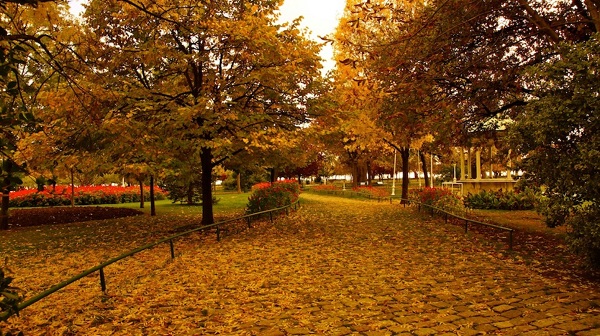 cahit-sitki-taranci-istanbulda-sonbahar