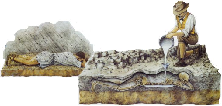 fiorelli-alci-teknigi