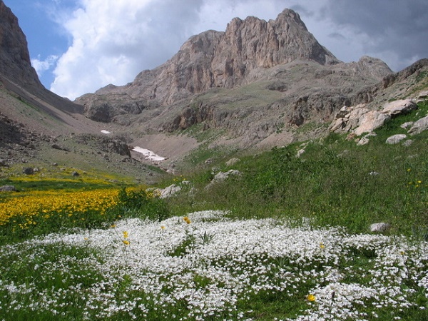 munzur-ovacik-vadisi