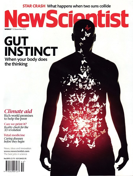 gut-instinct-ikinci-beyin