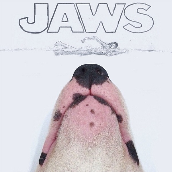 kopek-jaws