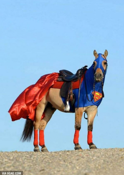 superman-at