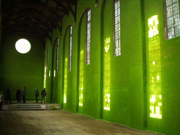 yesil-12