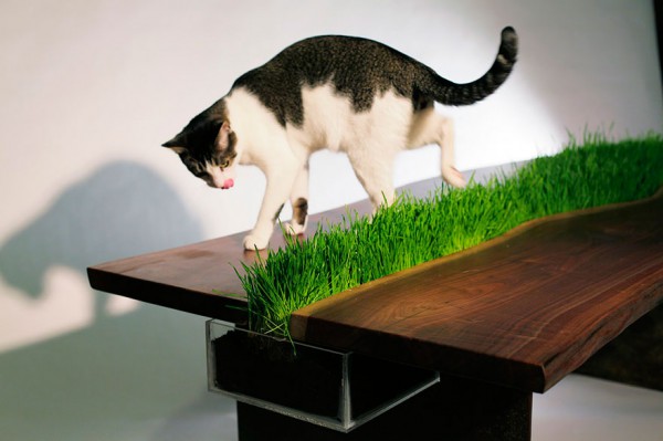 yesil-6