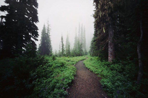 yol-11