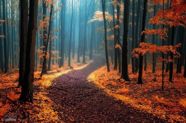 yol-3