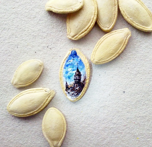 Microart-kabak-cekirdegi
