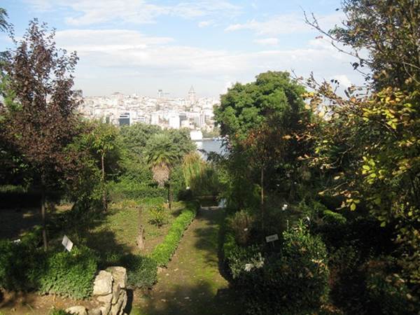 botanik-park-listelist