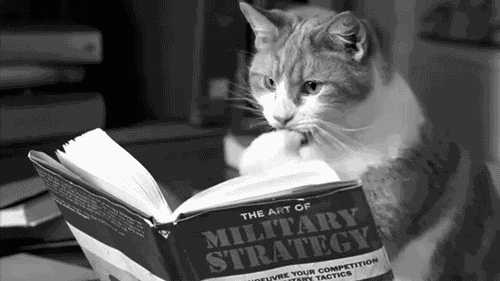 kitap-okuyan-kedi-military-strategy