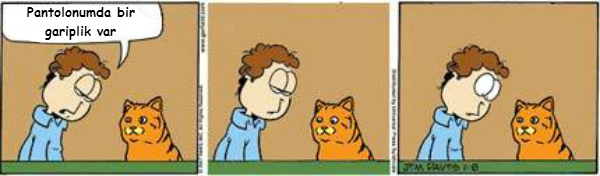 realfield-garfield-4