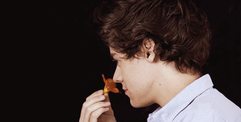 harry-styles-smelling-flowers