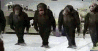 horon-tepen-maymunlar