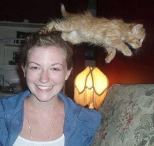 kedi-photobomb