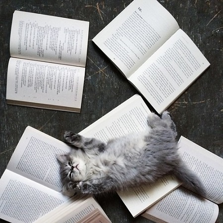 kitap