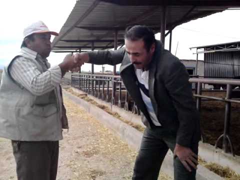 kurban-pazarligi