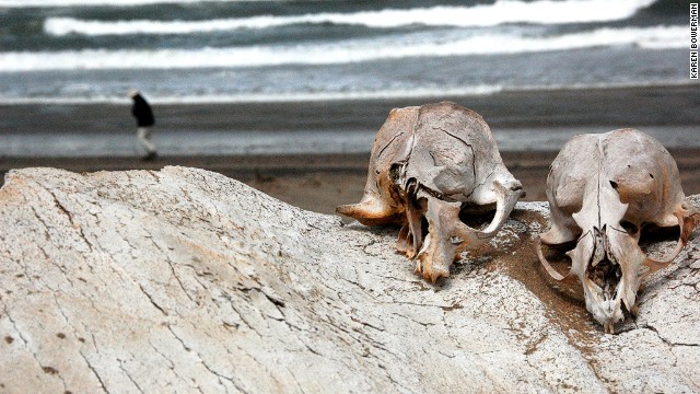 namibya-iskelet-sahili-skeleton-coast-02