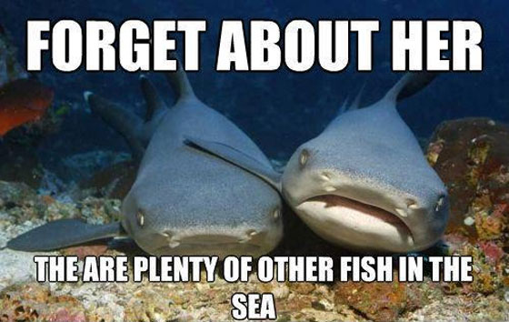 plenty-more-fish-sea