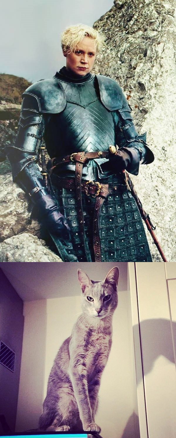 04 Brienne of Tarth