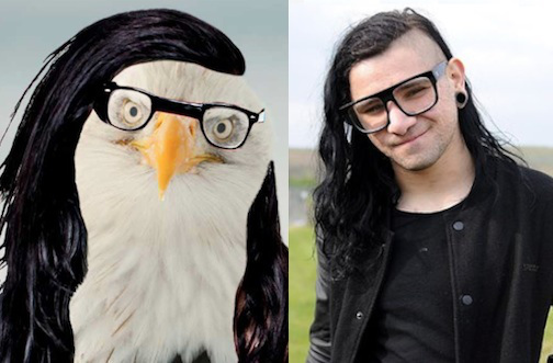 skrillex-kartal