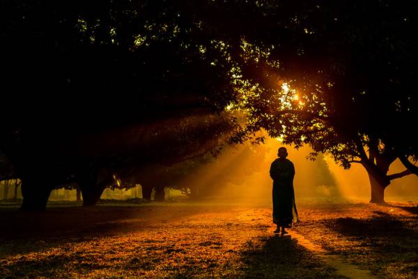 sony-fotograf-yarismasi-2015-003