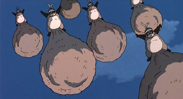 tanuki miyazaki