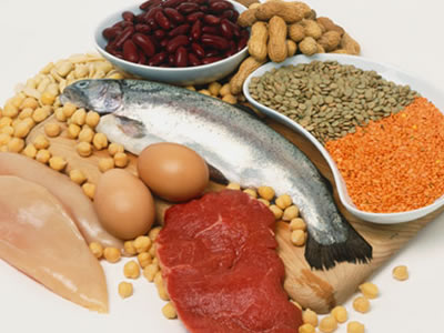 proteinli-besinler
