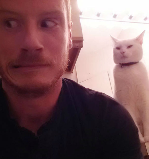 kedi3