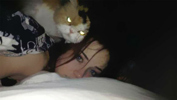 kedi6