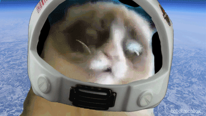 astronot-kedi