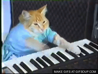 piyanist-kedi